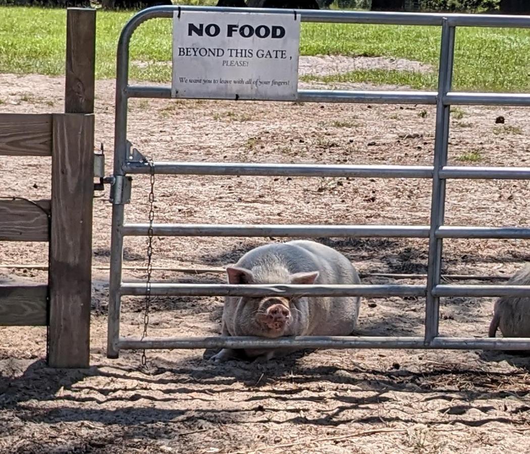 Rooterville Animal Sanctuary Melrose エクステリア 写真