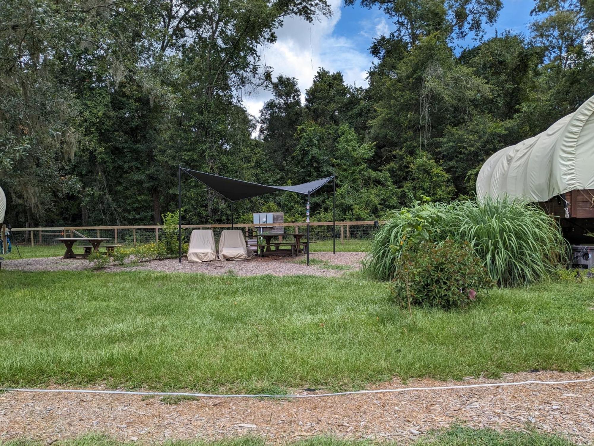 Rooterville Animal Sanctuary Melrose エクステリア 写真