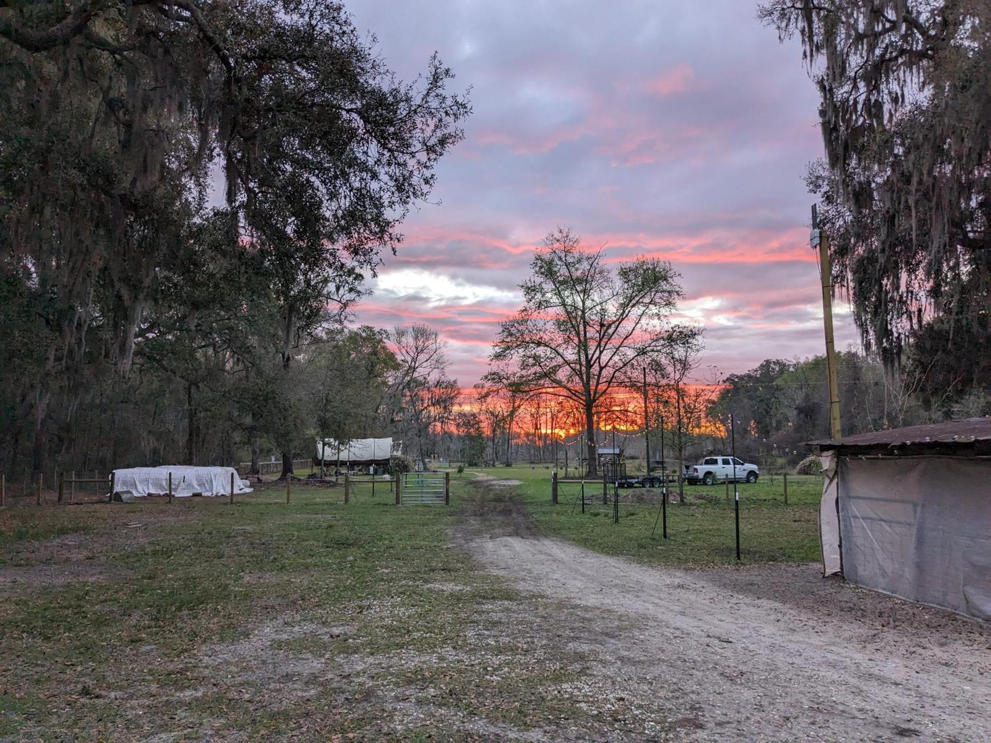 Rooterville Animal Sanctuary Melrose エクステリア 写真